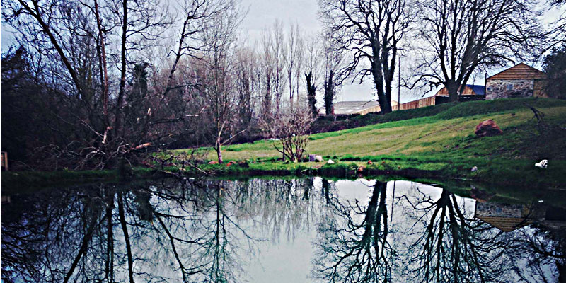 The Lily Pond at ANRÁN