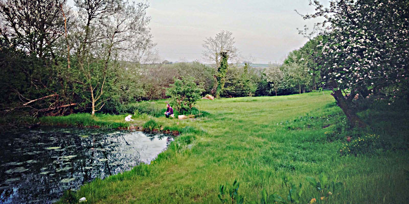 The Lily Pond at ANRÁN