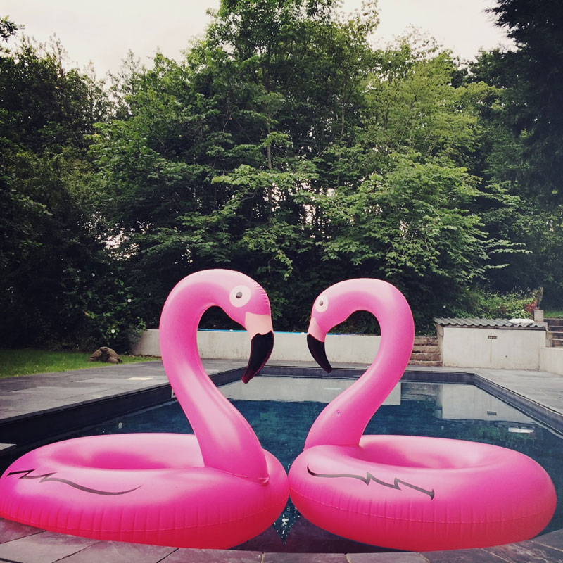 The Pool at ANRÁN Manor