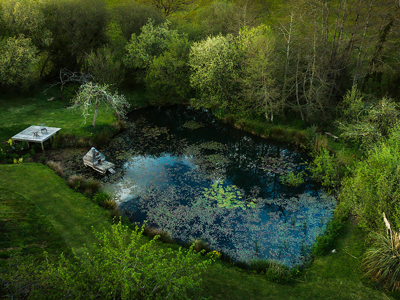 The Lily Pond at ANRÁN