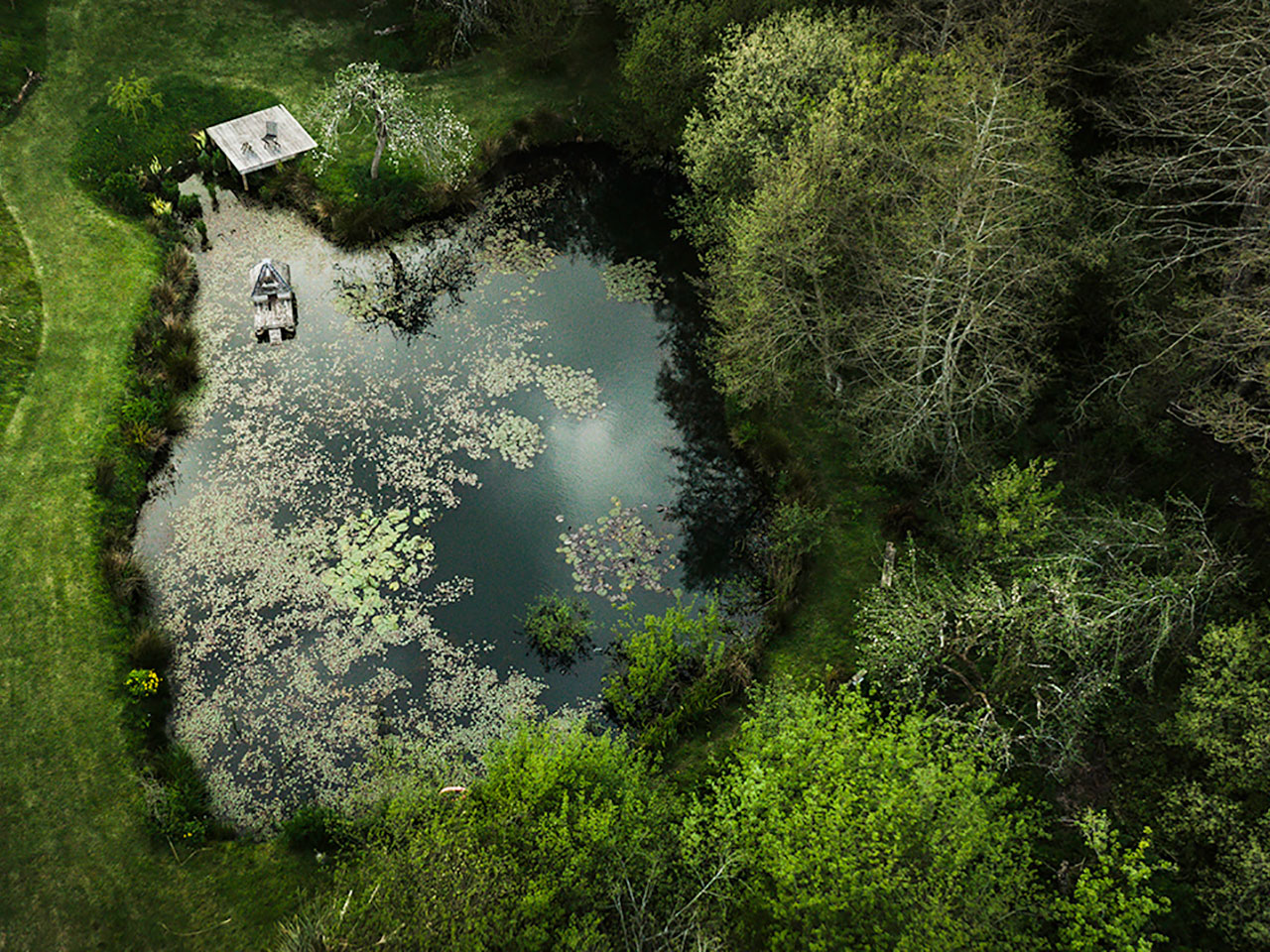 The Lily Pond at ANRÁN
