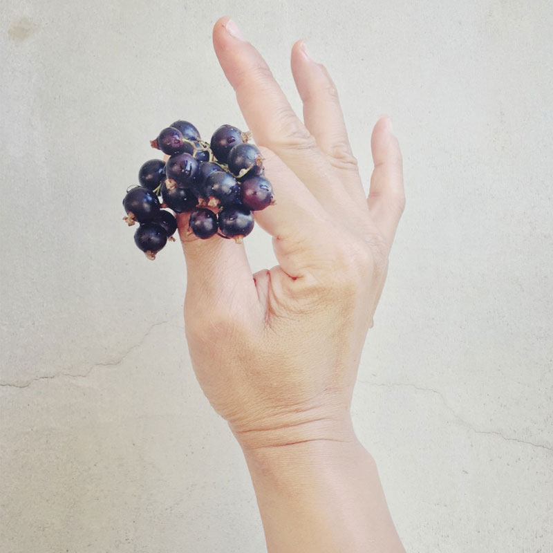 The Organic Kitchen Garden at ANRÁN