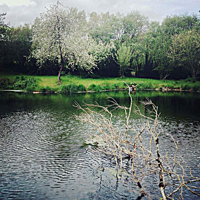 The Lily Pond at ANRÁN