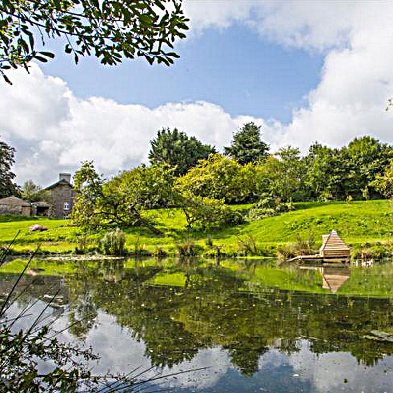 The Lily Pond at ANRÁN